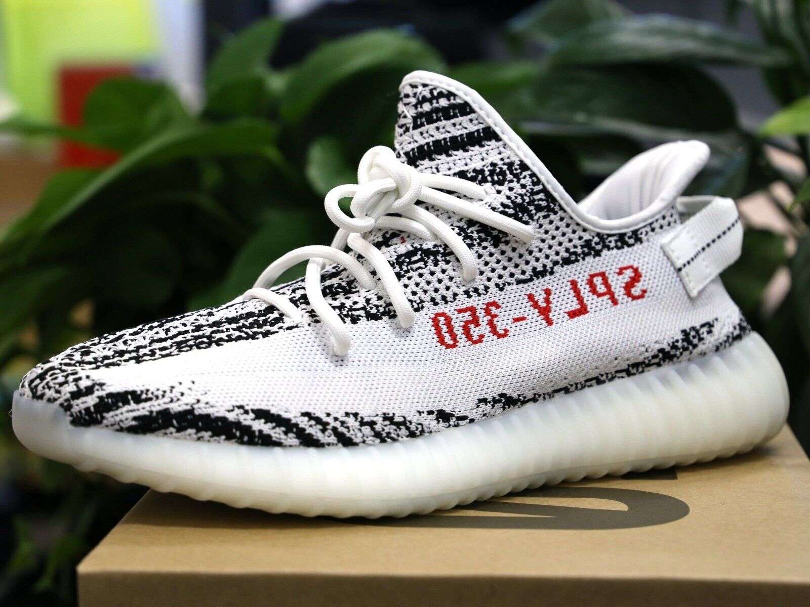 Adidas Yeezy 350 V2 Zebra image 4