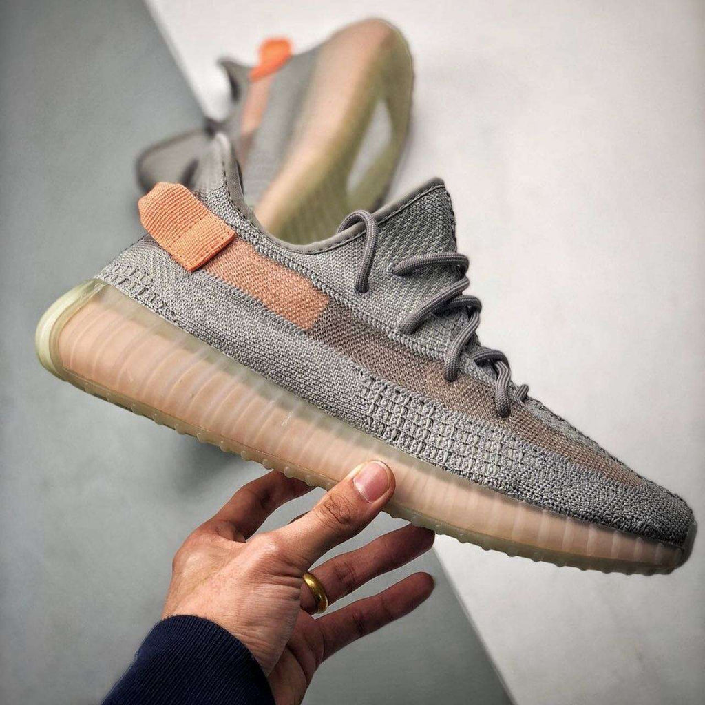 Adidas Yeezy 350 V2 True Form image