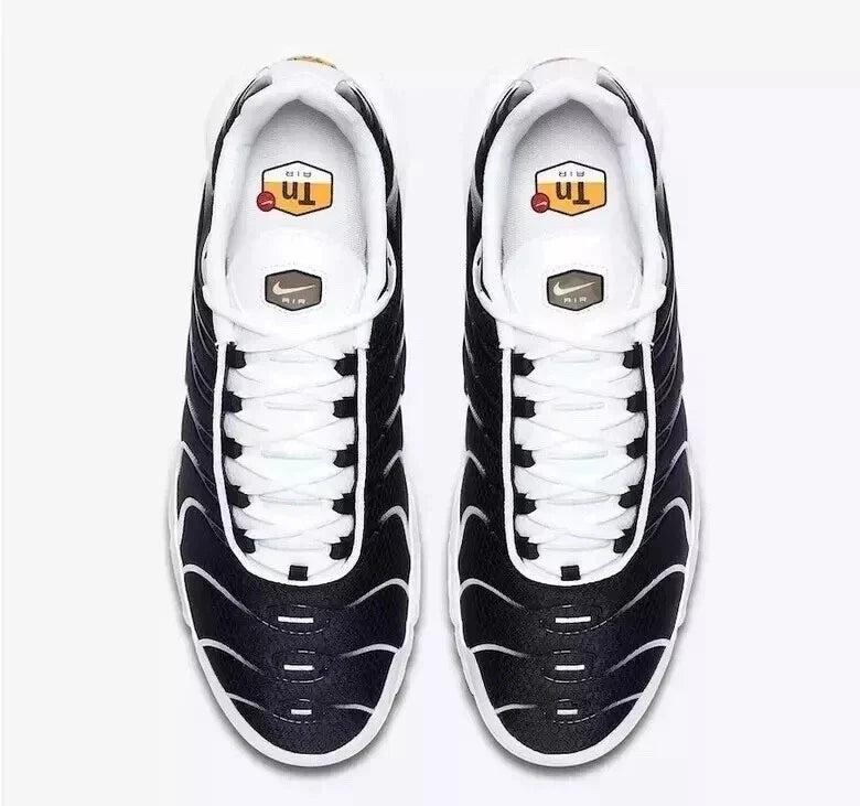 Nike Air Max Plus TN men's black and white air