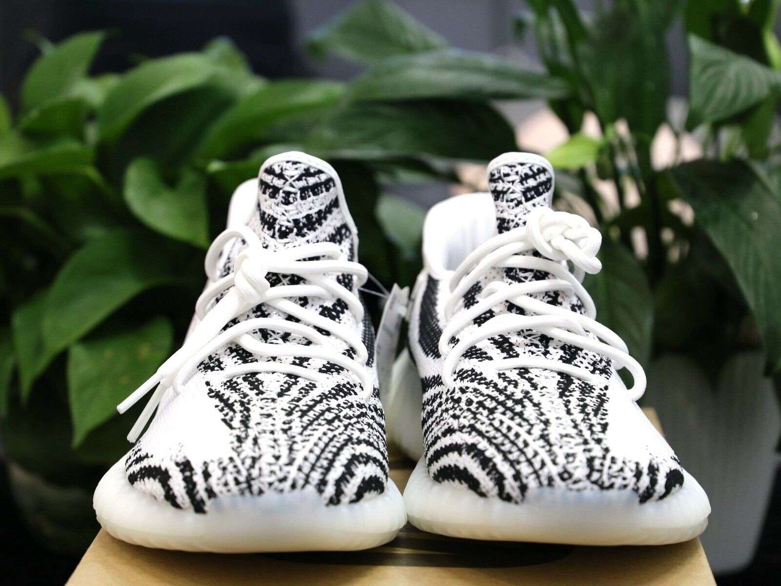Adidas Yeezy 350 V2 Zebra image 5